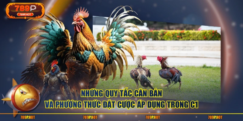Những quy tắc căn bản và phương thức đặt cược áp dụng trong C1